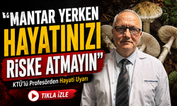 KTÜ’lü Profesörden Hayati Uyarı: “Mantar Yerken Hayatınızı Riske Atmayın”