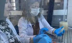 Bakterilerden Doğal Boya Üretildi, 2 Bin Yıllık Motiflere İşlendi