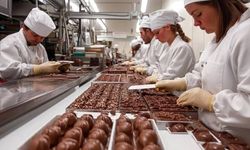 Alman Çikolata Devi DreiMeister İflas Sürecine Girdi