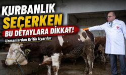Kurbanlık Seçerken Bu Hataları Yapmayın! Uzmanlardan Kritik Uyarılar