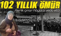 Trabzon’un Asırlık çınarı hayata veda etti; 102 Yıllık Ömür