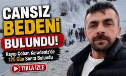 Karadeniz'de Kayıp çoban 4 ay sonra bulundu: Çığ felaketinin acı bilançosu