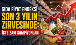 Gıda Fiyat Endeksi Son 3 Yılın Zirvesinde! İşte Zam Şampiyonları