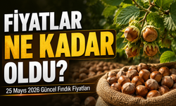 25 Mayıs 2026 Fındık Fiyatları: Serbest Piyasada Fiyatlar Düştü Mü?