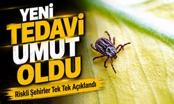 İç Anadolu ve Karadeniz İçin Kene Uyarısı: Riskli Şehirler Tek Tek Açıklandı