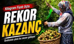 Fındık İhracatında Dikkat Çeken Yükseliş! Kilogram Fiyatı Rekor Kırdı