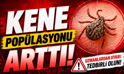 Kene popülasyonu arttı!