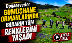 Doğaseverler Gümüşhane Ormanlarında Baharın Tüm Renklerini Yaşadı