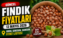 Fındık Fiyatları 13 Mayıs 2026’da Yatay Seyrini Korudu