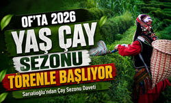 Of’ta 2026 Yaş Çay Sezonu ÇAYKUR Çamlı Çay Fabrikası’nda Açılıyor