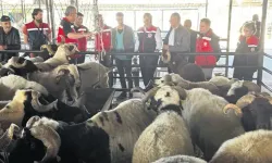 Kurban Eti İçin Kritik Uyarı: Hemen Tüketmeyin, Kurban Siz Olmayın!