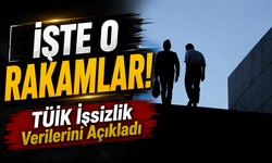 TÜİK İşsizlik Verilerini Açıkladı; İşte Açıklanan O Rakamlar...