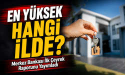 Merkez Bankası İlk Çeyrek Raporunu Yayımladı; En Yüksek Hangi İlde?