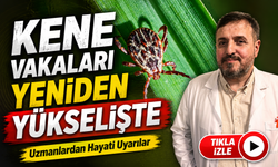 Uzmanlardan KKKA Uyarısı: "Kene Temasını Hafife Almayın"