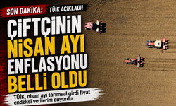 Çiftçinin Enflasyonu Rekor Seviyede! Sebze Fiyatlarında Alarm