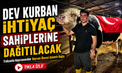 Trabzonlu Hayırseverden Bayram Öncesi Anlamlı Bağış; Dev Kurban İhtiyaç Sahiplerine Dağıtılacak