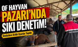 Of Hayvan Pazarı’nda Sıkı Denetim! Üreticilere Kritik Uyarılar Yapıldı