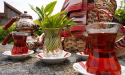 Rize'de Dünya Çay Günü etkinliği
