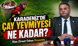 Rize Ziraat Odası Duyurdu; Karadeniz’de Çay Yevmiyesi Ne Kadar?