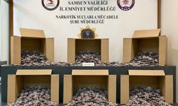 172 bin 713 yasaklı madde hap ele geçirildi