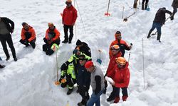 Artvin'de çığ altında kalan çobanı arama çalışmalarına devam edildi