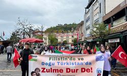 Giresun'da mazlum coğrafyalar yürüyüşü düzenlendi