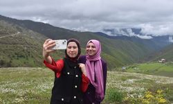 Gümüşhane'de papatyalar güzel görüntüler oluşturdu