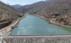 Ordu'da gölet ve barajlarda doluluk arttı