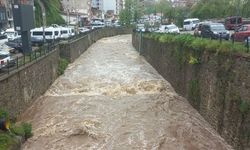 Ordu'nun bazı ilçelerinde şiddetli yağış etkili oldu