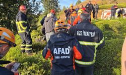 Rize'de çay bahçesine devrilen hafif ticari aracın sürücü yaralandı