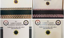 Yasaklı madde operasyonunda 11 zanlı yakalandı