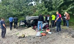 Kediye çarpmamak için manevra yapınca araç plaja uçtu: 4 yaralı