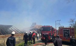 Ordu'da 3 katlı binada yangın