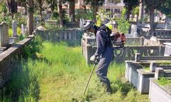 Ordu'da mezarlıklar bayrama hazırlanıyor
