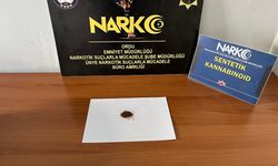 Ordu'da yasalı madde operasyonu