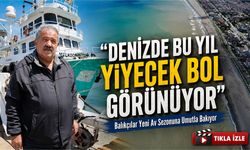 Karadeniz’de Yağışlar Balıkçıların Yeni Sezon Umudunu Artırdı; “Denizde Bu Yıl Yiyecek Bol Görünüyor”