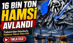 Karadeniz’de Hamsi Bereketi: Kırklareli Açıklarında 16 Bin Ton Avlandı