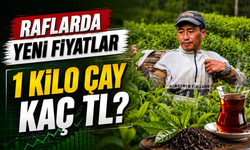 Çay Fiyatlarında Zam Alarmı: Market Raflarında Yeni Dönem Başladı!