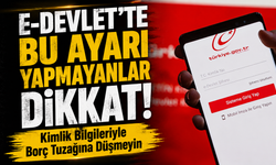 E-Devlet’te Bu Ayarı Yapmayanlar Dikkat!; Kimlik Bilgileriyle Borç Tuzağına Düşmeyin