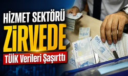 TÜİK Mart 2026 Ciro Verilerini Açıkladı: Hizmet Sektörü Zirvede