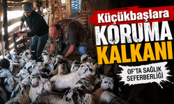 Of’ta Küçükbaş Hayvanlar İçin Kritik Aşılama Başladı