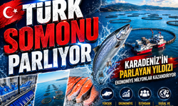 Karadeniz’den Dünyaya! Türk Somonu İhracatta Rekor Kırıyor
