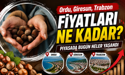 Fındık Piyasasında Bugün Neler Yaşandı? Ordu, Giresun, Trabzon Fiyatları Ne Kadar?
