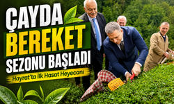 Hayrat’ta Çay Sezonu Festivalle Açıldı, Üretici İçin Bereket Temennisi Öne Çıktı