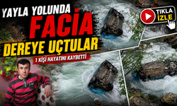 Giresun’da Feci Kaza: Otomobil Dereye Devrildi, 2 Kişi Öldü