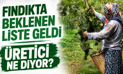 Üreticinin Gözü Fındık Fiyatlarında: 1 Haziran Tablosu Dikkat Çekti
