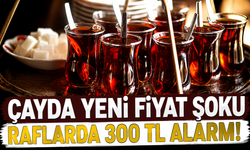 Çay Fiyatları 1 Haziran’da Değişti: Çaykur, Lipton ve Doğuş Ne Kadar Oldu?