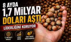 Fındık İhracatı 8 Ayda 1,7 Milyar Doları Aştı