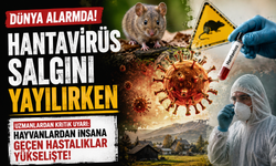 Gemide Ölüm Alarmı