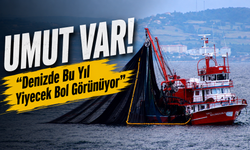 Karadeniz’de Yağışlar Balıkçıların Yeni Sezon Umudunu Artırdı